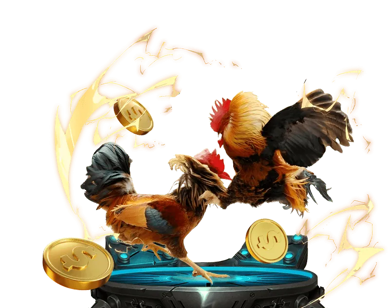 Quản lý vốn khi cá cược Zowin